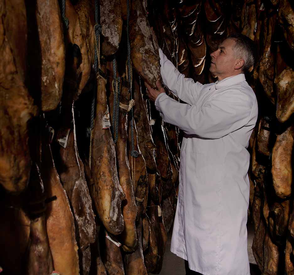 Curador de jamon iberico