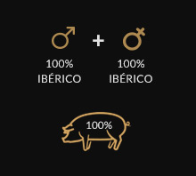 Cerdo Iberico